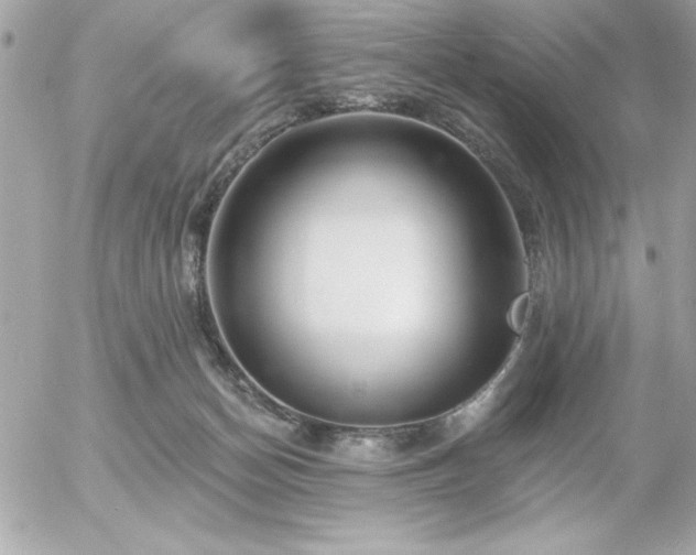 X0000055520174200508191555