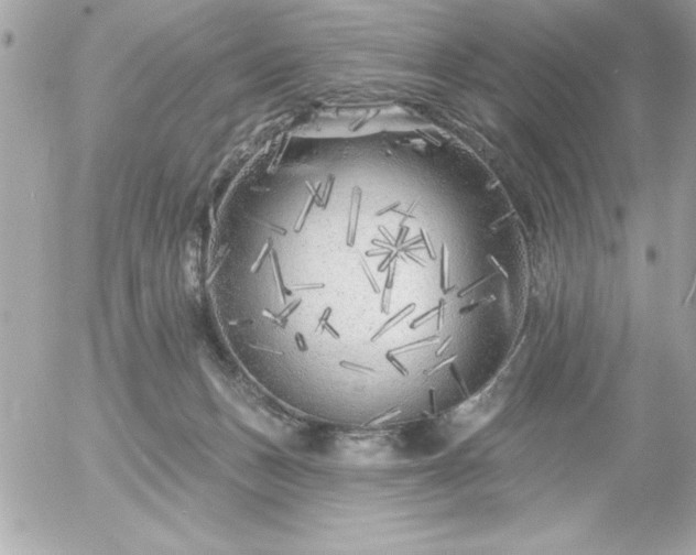 X0000055520175200508191555