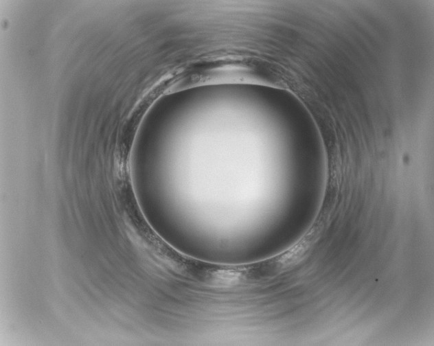 X0000055520176200508191555