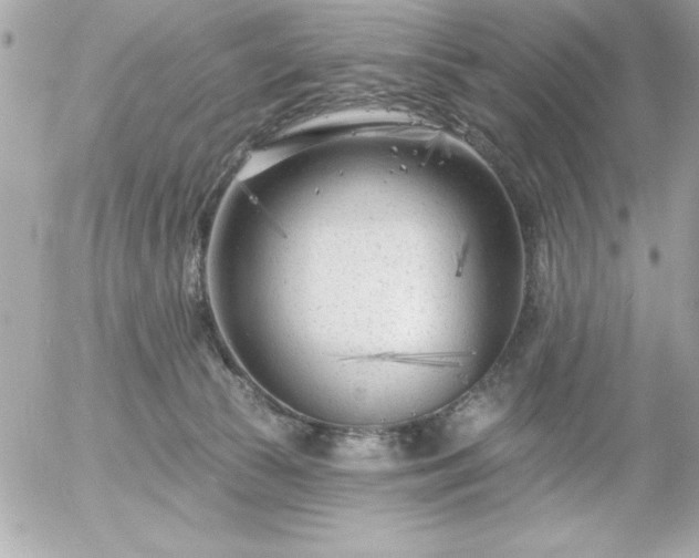 X0000055520177200508191555