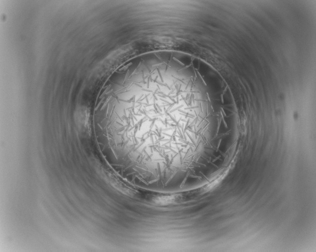 X0000055520178200508191555