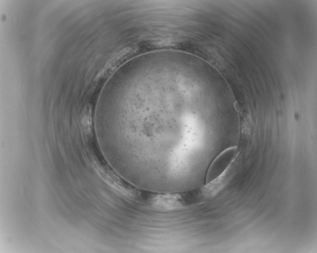 X0000055520179200508191555