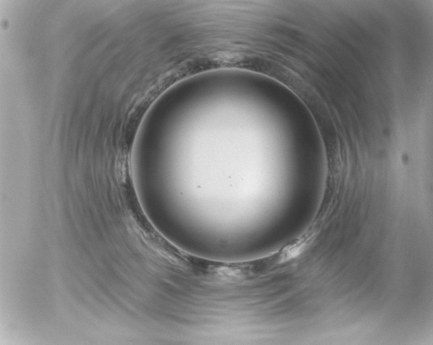 X0000055520180200508191555