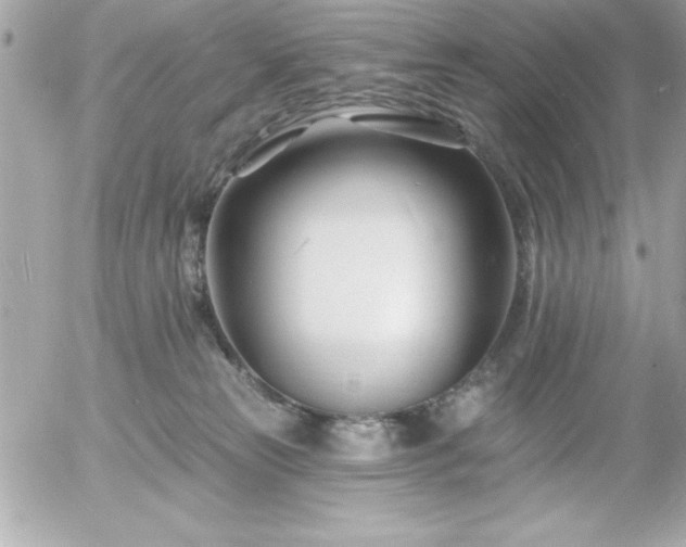 X0000055520181200508191555