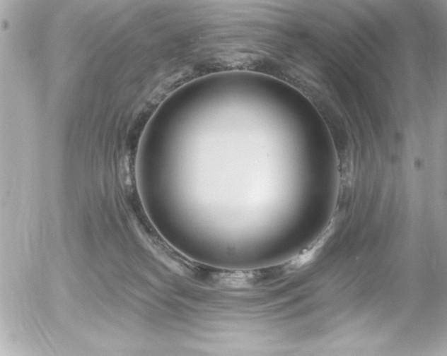 X0000055520182200508191555