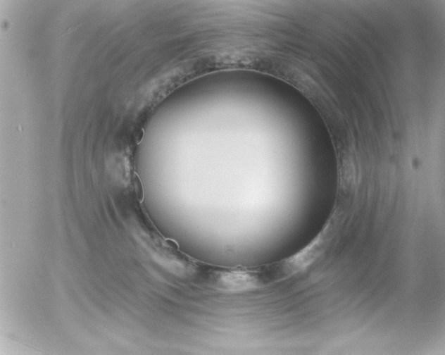 X0000055520183200508191555