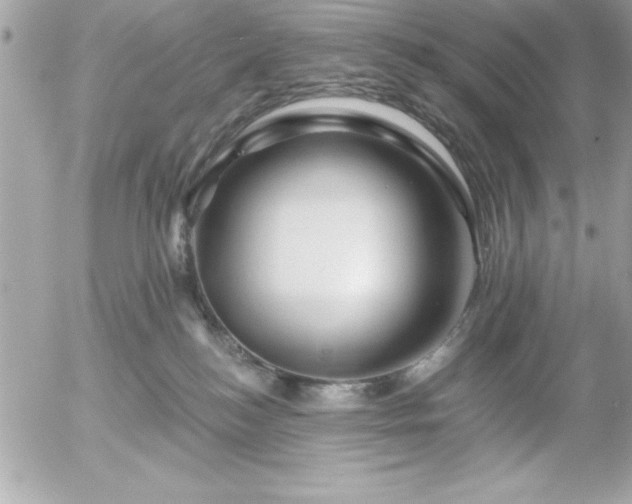 X0000055520184200508191555