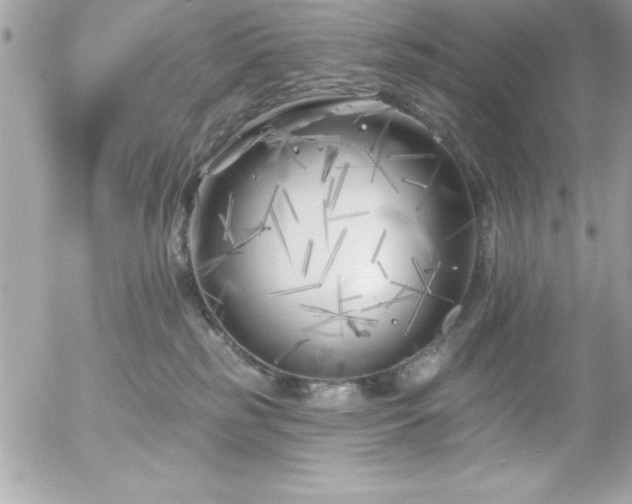 X0000055520185200508191555