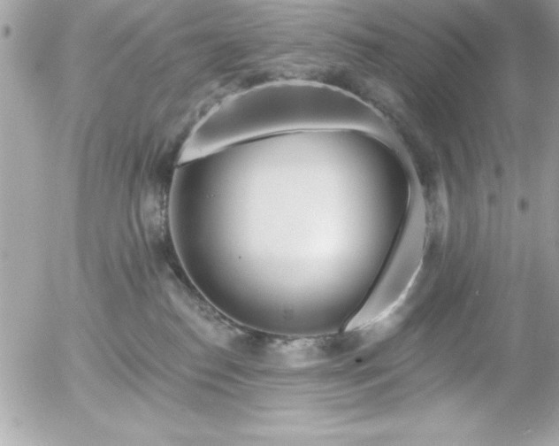 X0000055520186200508191555