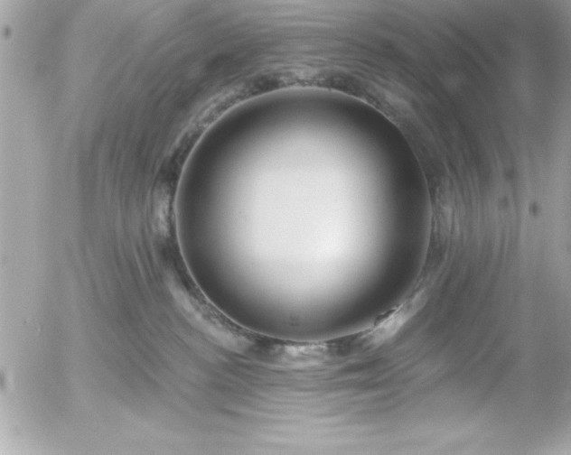 X0000055520188200508191555