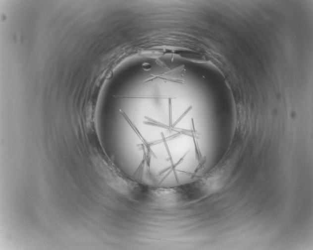 X0000055520189200508191555