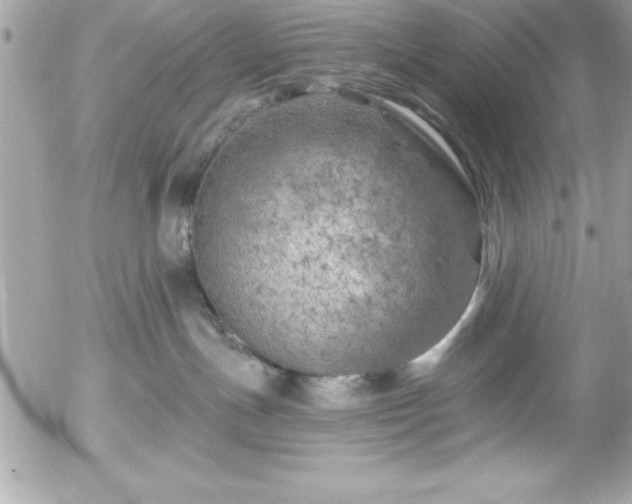 X0000055520191200508191555