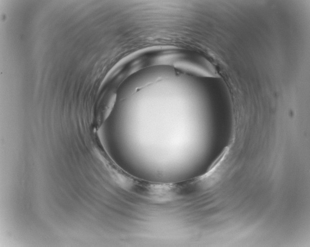 X0000055520192200508191555