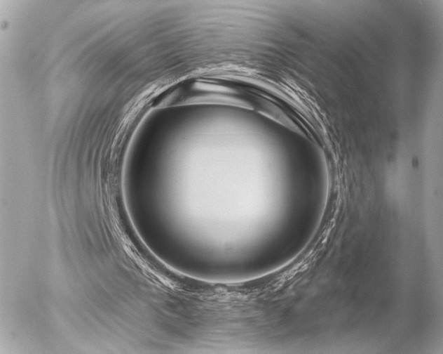 X0000055520193200508191554