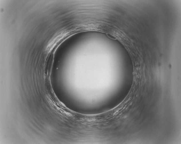 X0000055520194200508191554