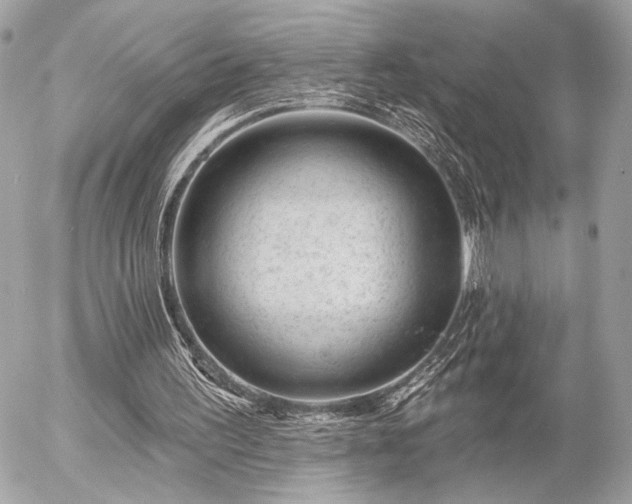 X0000055520195200508191554