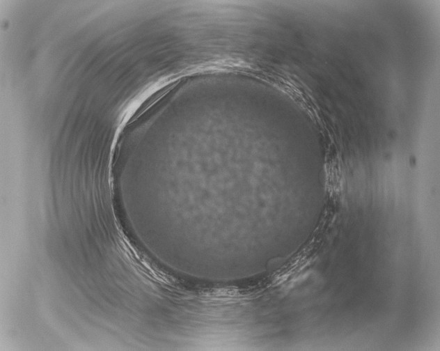 X0000055520196200508191554