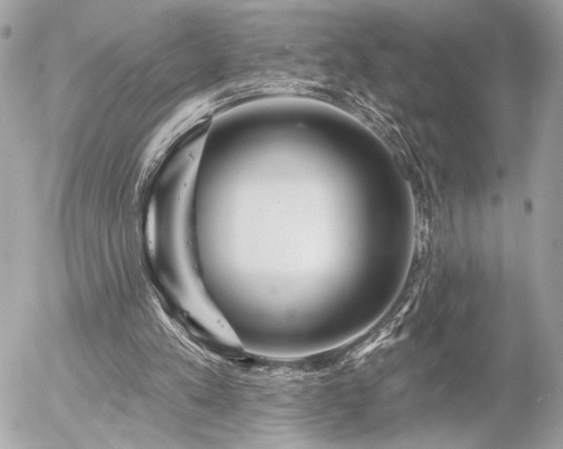 X0000055520197200508191554