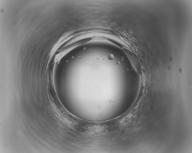 X0000055520198200508191554