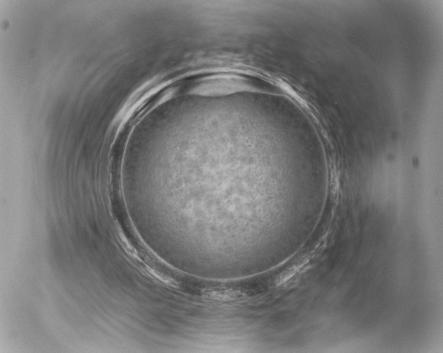 X0000055520199200508191554