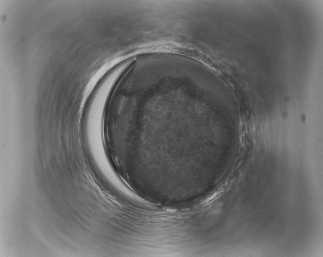 X0000055520200200508191554