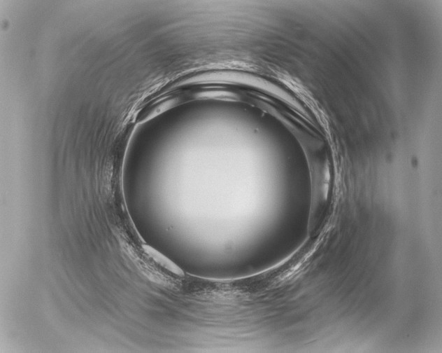 X0000055520201200508191554