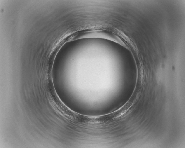 X0000055520203200508191554