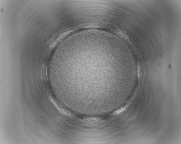 X0000055520205200508191554