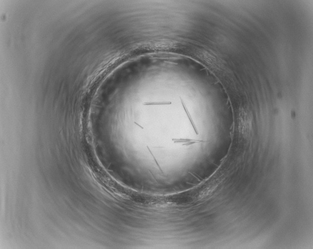 X0000055520206200508191554