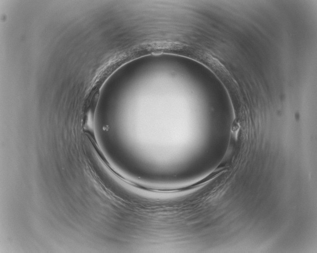 X0000055520207200508191554