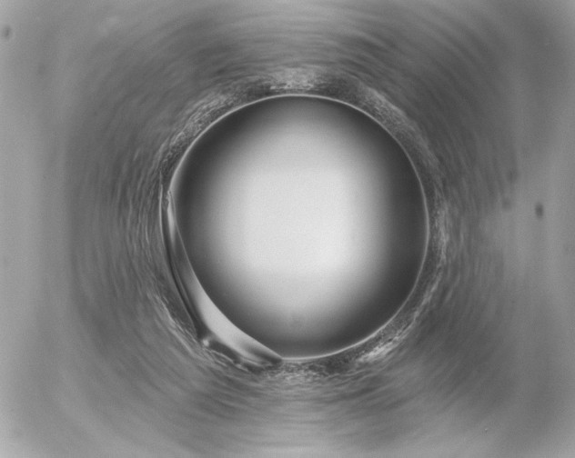 X0000055520209200508191554