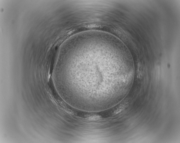 X0000055520210200508191554