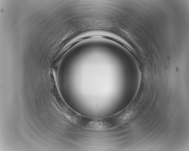 X0000055520211200508191554