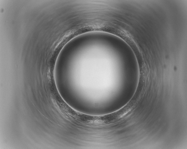 X0000055520212200508191554