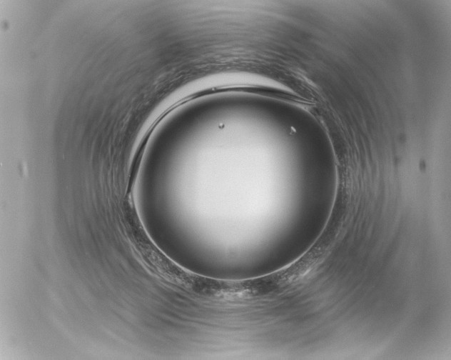 X0000055520213200508191554