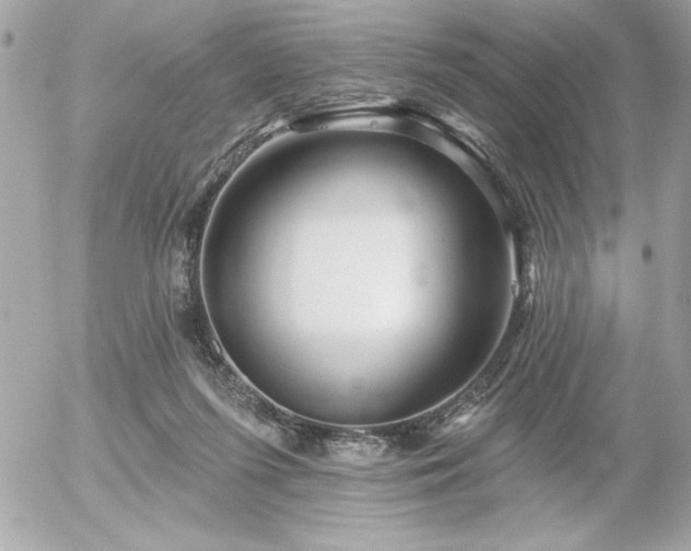 X0000055520215200508191554