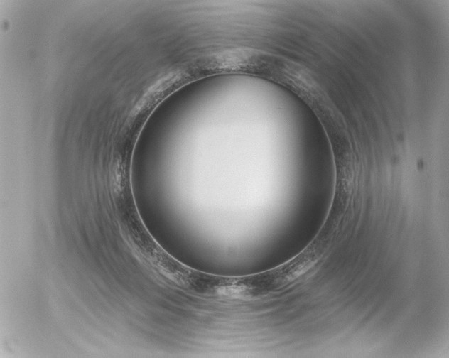 X0000055520216200508191554