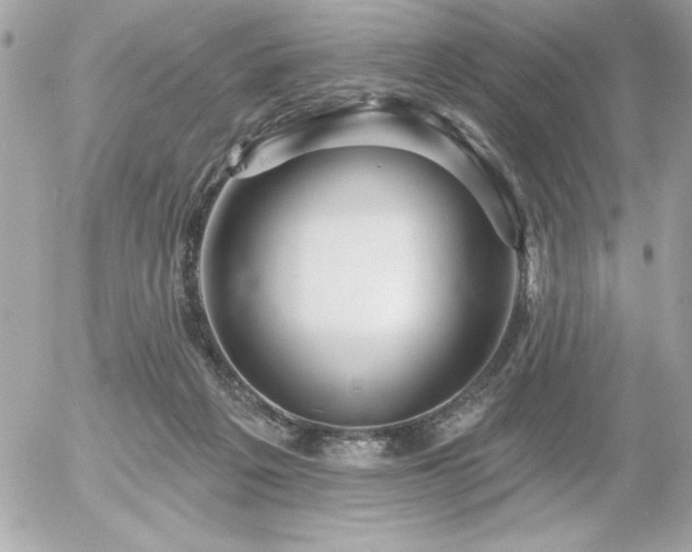 X0000055520217200508191554