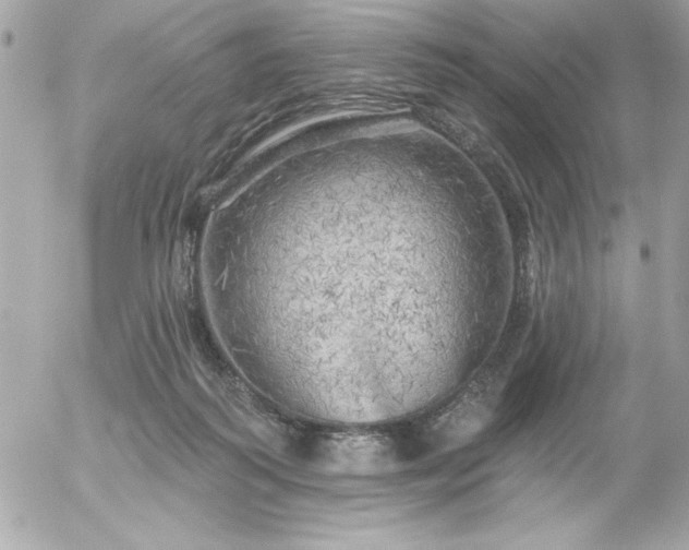 X0000055520218200508191554