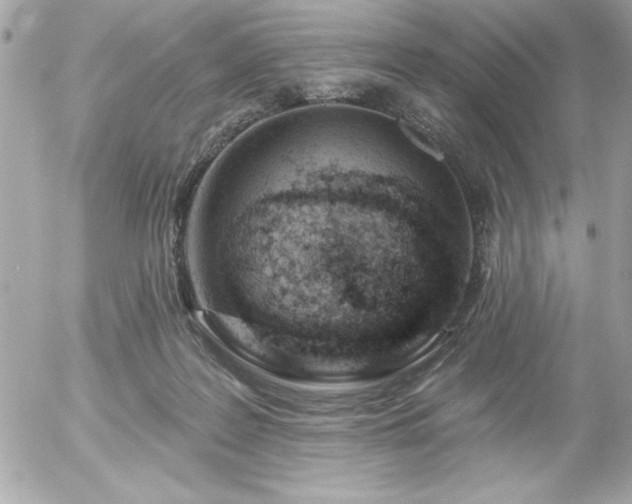 X0000055520219200508191554