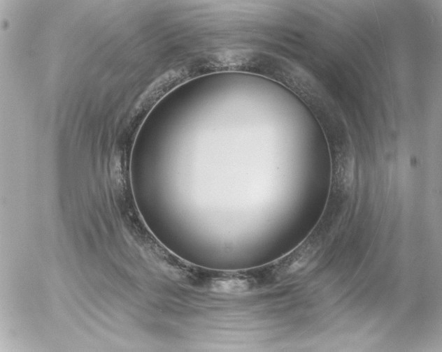 X0000055520220200508191554