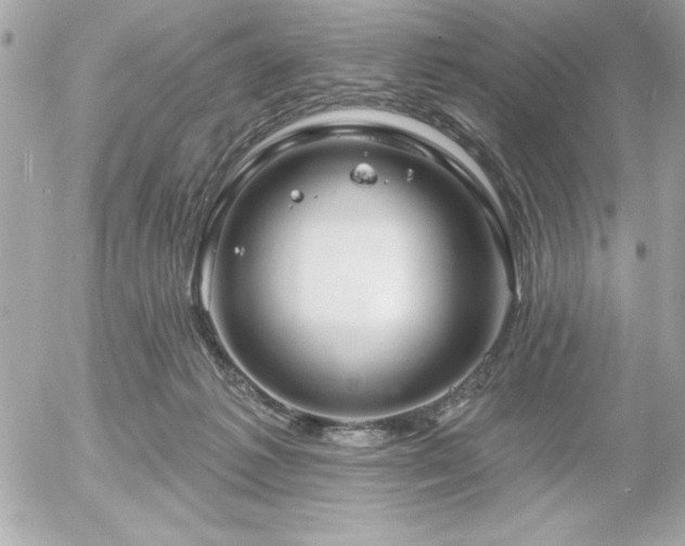 X0000055520221200508191554