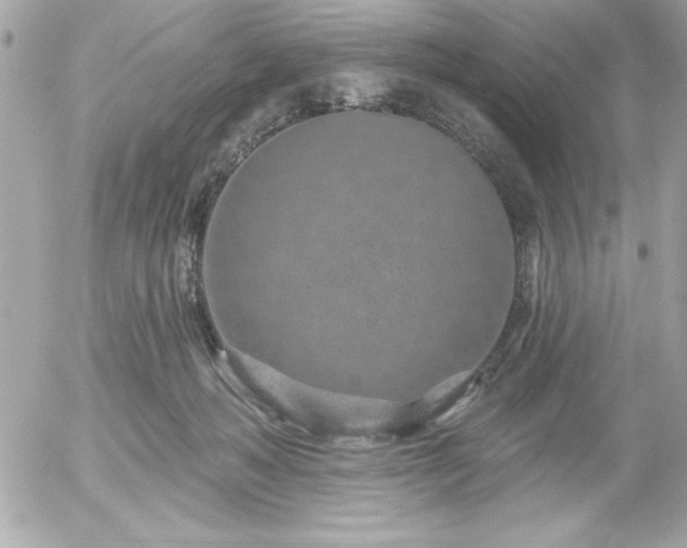 X0000055520222200508191554