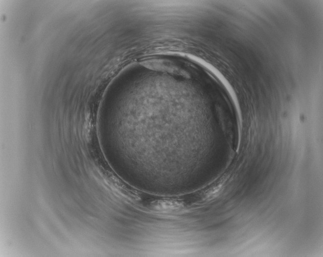 X0000055520223200508191554