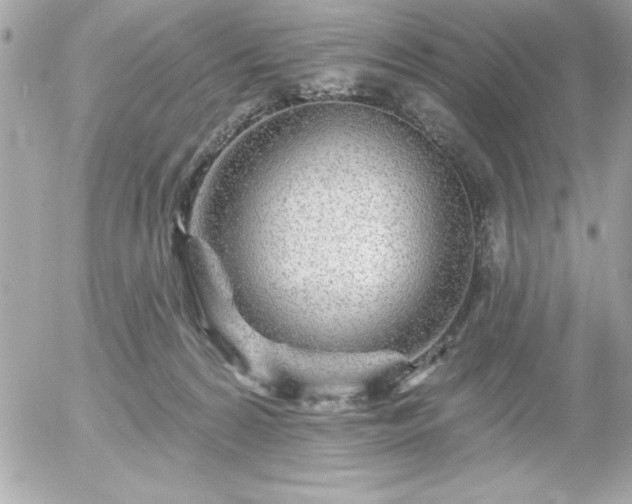 X0000055520224200508191554