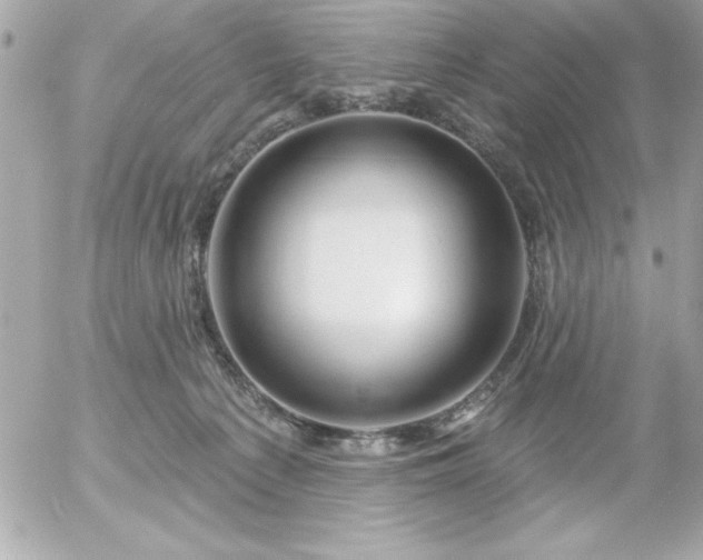 X0000055520225200508191554