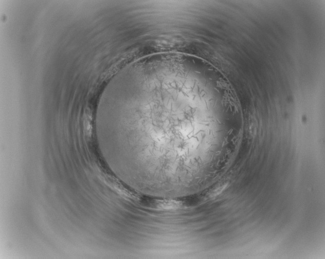 X0000055520226200508191554