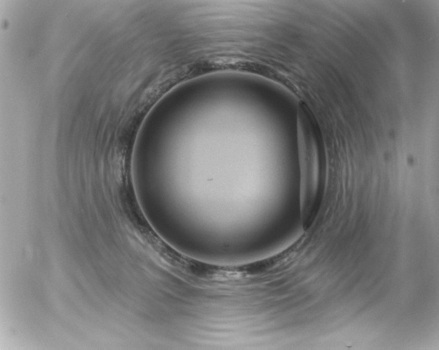 X0000055520227200508191554