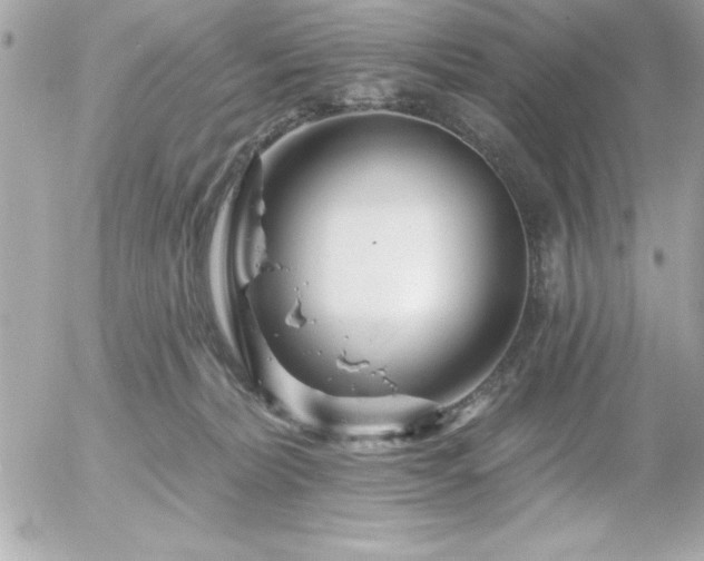 X0000055520228200508191554