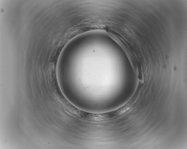 X0000055520229200508191554